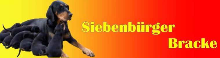 Logo Siebenbürger Bracke