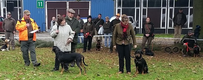 Messe Jagd und Angeln Leipzig - Brackenschau